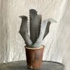Vintage Antique French Tole Potted Agave Plant Sculpture (No. 2)