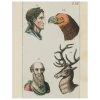 John Derian Decoupage Animal Profiles-Eagle (p 289) 2 John Derian Decoupage Animal Profiles-Eagle (p 289)