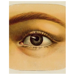 John Derian Eye (p 294) Decoupage