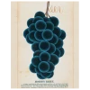 John Derian Moore's Early (Grapes) (p 310)