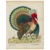 John Derian Crefted Turkey (p 314) - FINAL SALE Thanksgiving & Christmas