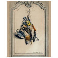 John Derian Decoupage Game Birds: Light (p 331)