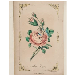 John Derian Decoupage Moss Rose Cupid (p 333)