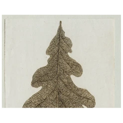 John Derian Brown Leaf (p 337) Decoupage