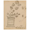 John Derian Decoupage 1870 Leaves (Naive) (p 339)