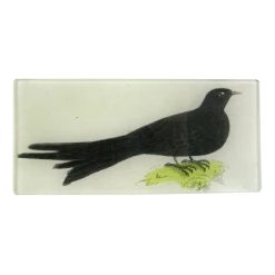 John Derian Black Swallow - FINAL SALE