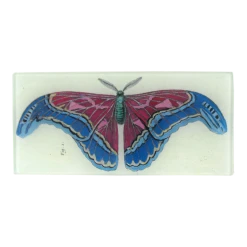 John Derian Figure 1 Pink Blue Butterfly - FINAL SALE