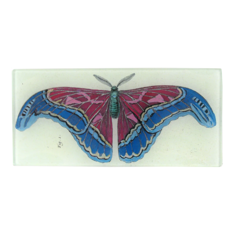 John Derian Figure 1 Pink Blue Butterfly - FINAL SALE 3 John Derian Figure 1 Pink Blue Butterfly - FINAL SALE