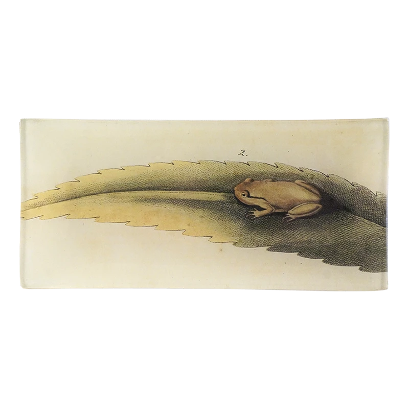 John Derian Decoupage Frog On Leaf 3 John Derian Decoupage Frog On Leaf
