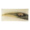 John Derian Frog On Leaf- FINAL SALE Rectangular Trays