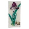 John Derian Decoupage Iris 801