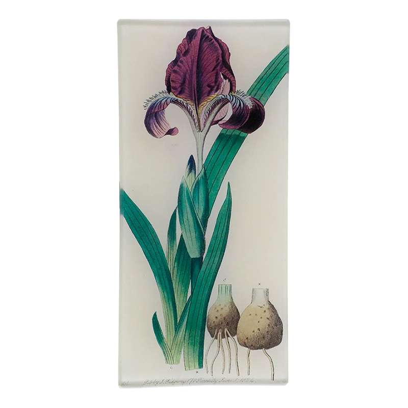 John Derian Decoupage Iris 801 3 John Derian Decoupage Iris 801