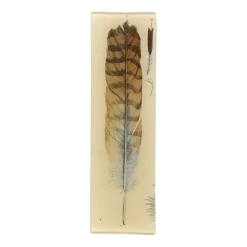 John Derian Feather Decoupage