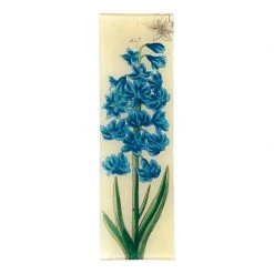 John Derian Blue Hyacinth