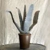 Vintage Art Antique French Tole Potted Agave Plant Sculpture (No. 3)