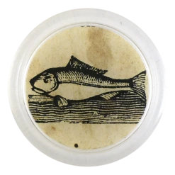 John Derian Iconic - Fish