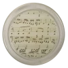 John Derian 4" Coasters Sheet Music 2 - FINAL SALE