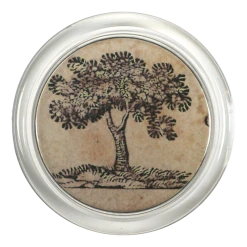 John Derian Iconic - Tree