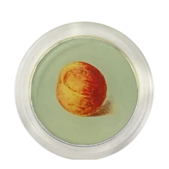 John Derian Peach (Marzipan Fruit) - FINAL SALE