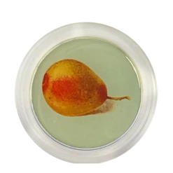 John Derian 4" Coasters Pear (Marzipan Fruit) - FINAL SALE