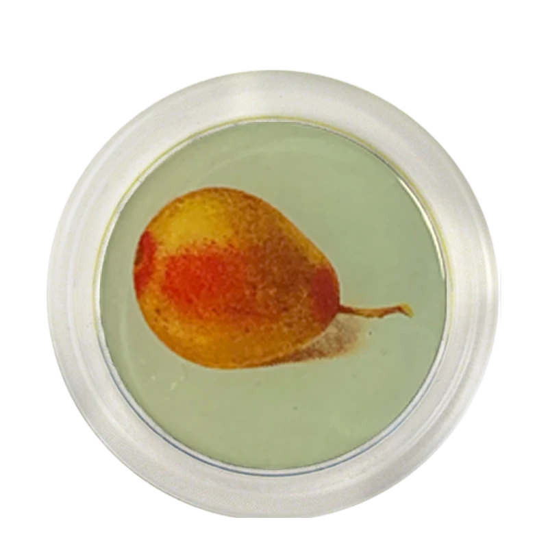 John Derian 4" Coasters Pear (Marzipan Fruit) - FINAL SALE 3 John Derian 4" Coasters Pear (Marzipan Fruit) - FINAL SALE