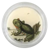 John Derian Frog 2 - FINAL SALE