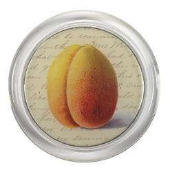 John Derian Shadowed Fruit (Peach) - FINAL SALE 4