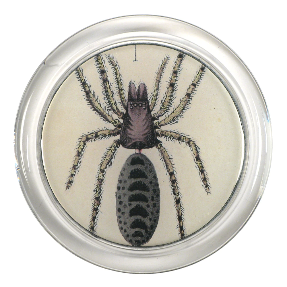 John Derian 4" Coasters Spider 3 - FINAL SALE 3 John Derian 4" Coasters Spider 3 - FINAL SALE