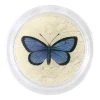 John Derian 4" Coasters Alcon Blue Butterfly - FINAL SALE
