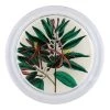 John Derian Decoupage Caribbean Bark Leaves