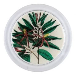 John Derian Decoupage Caribbean Bark Leaves