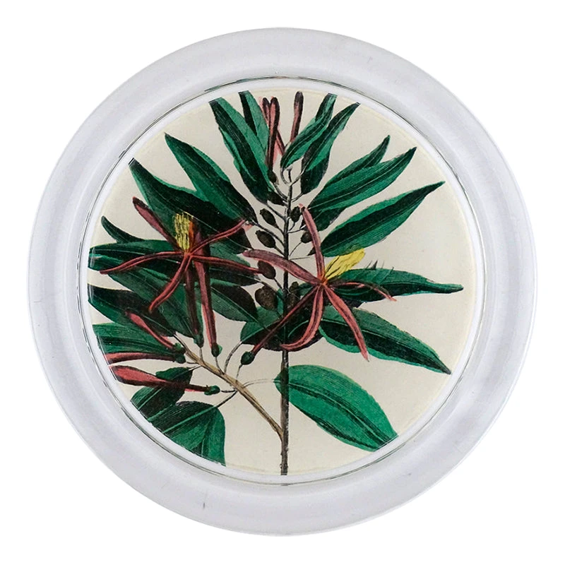 John Derian Decoupage Caribbean Bark Leaves 3 John Derian Decoupage Caribbean Bark Leaves