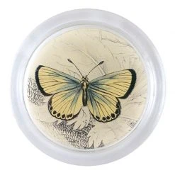 John Derian Decoupage Chalkhill Butterfly (19th C. Naturalist)