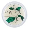 John Derian Decoupage Cinnamon Tree Leaves
