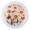 John Derian Pink Primula - FINAL SALE 4" Coasters
