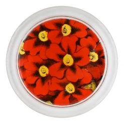 John Derian Red Primula