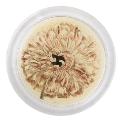 John Derian Decoupage Ranunculus 850-A