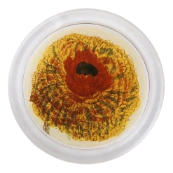 John Derian Ranunculus 850-B Decoupage