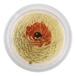 John Derian Ranunculus 850-C