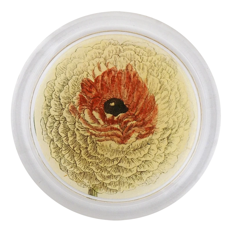 John Derian Ranunculus 850-C 3 John Derian Ranunculus 850-C