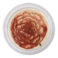 John Derian Ranunculus 851-A