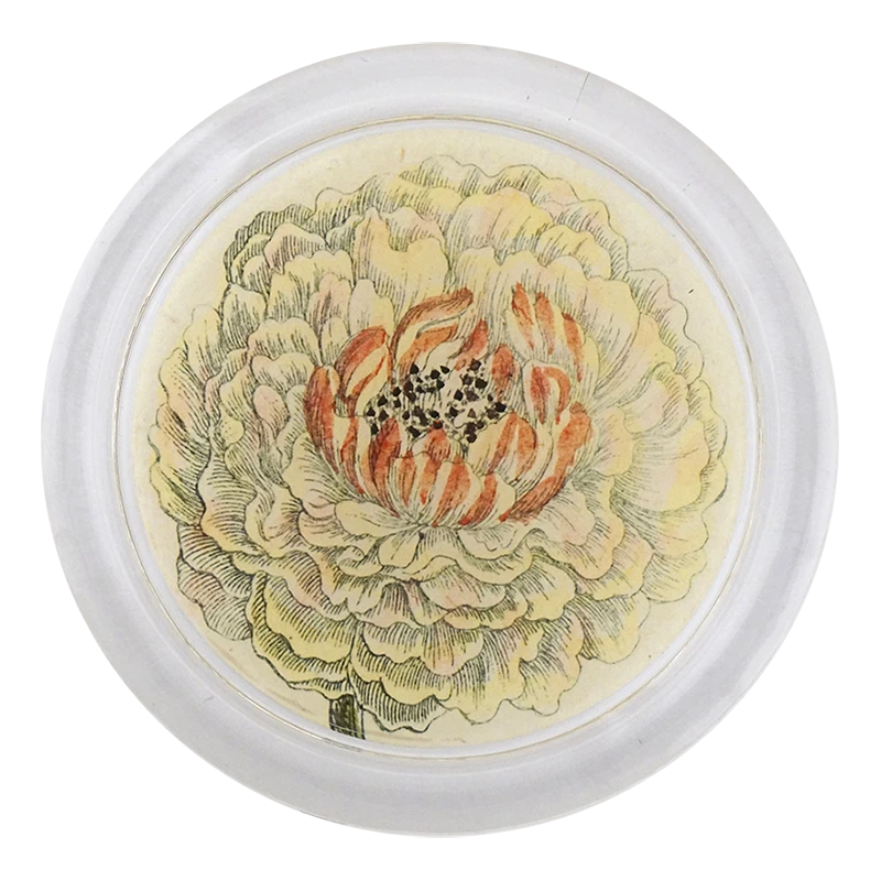 John Derian Decoupage Ranunculus 851-D 3 John Derian Decoupage Ranunculus 851-D