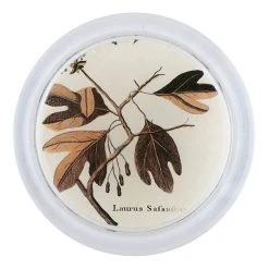 John Derian Sassafras Leaves