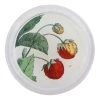 John Derian 4" Coasters Strawberries- FINAL SALE