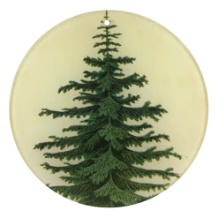 John Derian Norway Spruce (4" Round)