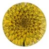 John Derian Decoupage Dandelion Flower