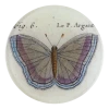 John Derian Fig. 6 Argante Butterfly Decoupage