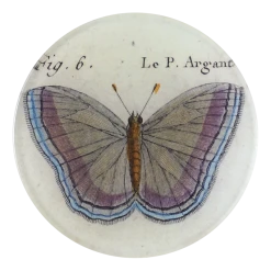 John Derian Fig. 6 Argante Butterfly Decoupage
