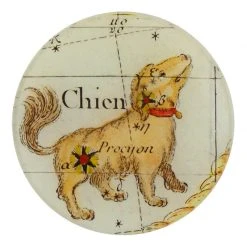 John Derian Petit Chien Decoupage