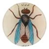 John Derian Blue Winged Insect